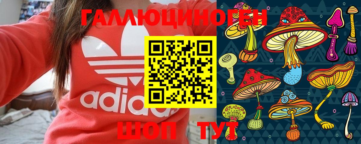 Псилоцибиновые грибы GOLDEN TEACHER Луховицы